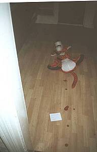 Crime Scene Photo